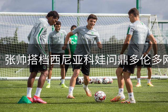 张帅搭档西尼亚科娃问鼎多伦多网球双打冠军
